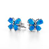 Ocean Butterfly