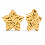 Gold Star Stud Earrings